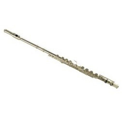 Wisemann DFL-310 Духовые музыкальные инструменты